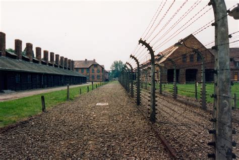 fileauschwitz camp de concentrationjpg wikimedia commons