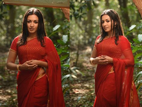catherine tresa hd wallpapers latest catherine tresa wallpapers hd free download 1080p to 2k