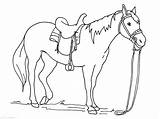 Coloring Pages Horseback Riding Getdrawings sketch template