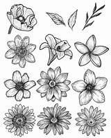 Blumen Simple Skizzen Malen Himen Sketchbook Picstagram sketch template