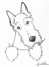 Dog Scottie Sketch Scottish Drawing Drawings Pocket Niles Kim Sketches Cartoon Dogs Line Coloring Terrier Animal Print Cute Easy Really sketch template