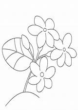 Colouring Printable Indiaparenting sketch template