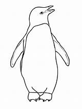 Penguin Pinguin Penguins Kleurplaten Adelie Topkleurplaat Pinguine Pinguins Pinguïns Dieren sketch template