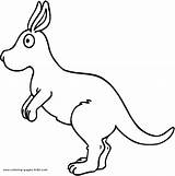 Kangaroo Clipart Pages Baby Coloring Kids Animals Drawings Joey Color Outline Animal Cliparts Children Printable Drawing Mosaic Clip Zoo Jumping sketch template