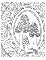 Coloring Pages Adult Zentangle Colouring Mushrooms Woodland Aztec Patterns Toadstools Toadstool Mushroom Mandala Books Adults Choose Board sketch template