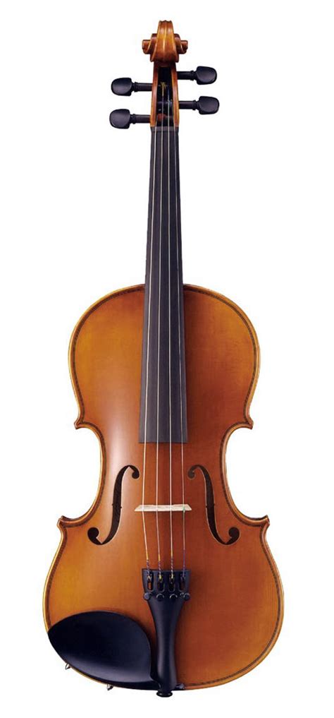 violin  tunedcom