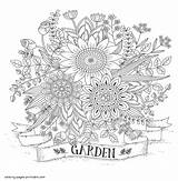 Coloring Pages Adult Flowers Flower Adults Garden Printable Print Look Other Book sketch template