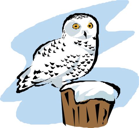 cartoon snowy owl clipart