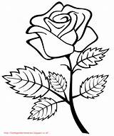 Bunga Mawar Mewarnai Paud Kepada Meningkatkan Semoga Kreatifitas Bermanfaat Seni Jiwa sketch template