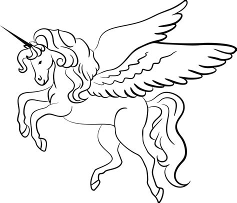 drawing unicorns mythical creature unicorn clipart black