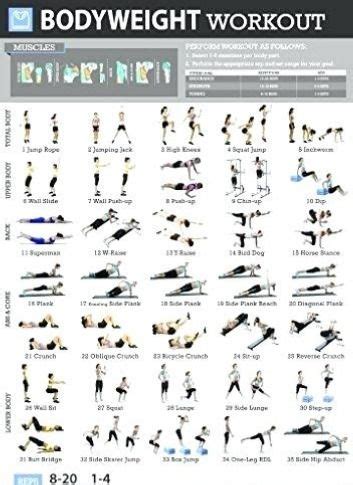 home gym exercise chart workout chart gym workout chart home gym