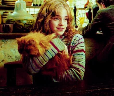 hermione with crookshanks fangirl harry potter pinterest