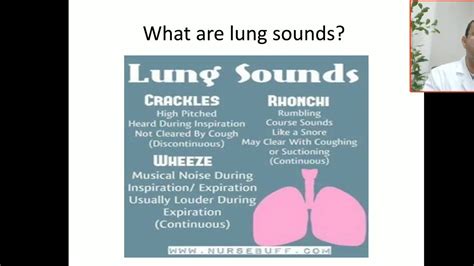 lung sounds crackleswheeze rhonchi continuous rumbling sound high pitched sound