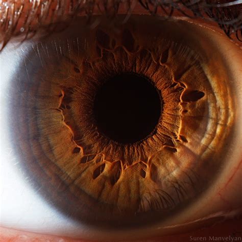 your beautiful eyes amazing close up photos of human