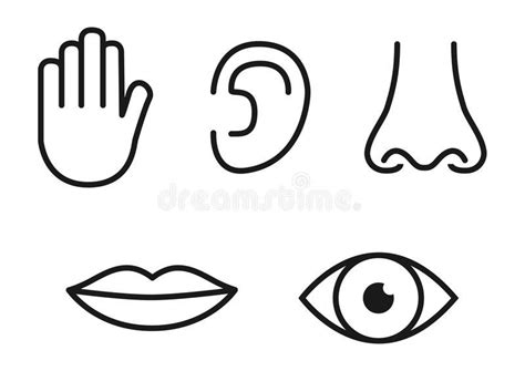 seller coloring pages  eyes nose  mouth  learning