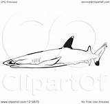 Shark Reef Clipart Tipped Whitetip Illustration Coloring Royalty Vector Dero Designlooter 63kb 1024px 1080 sketch template