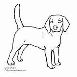 Dog Beagle Coloring Cockapoo Pages Dogs Tattoo sketch template