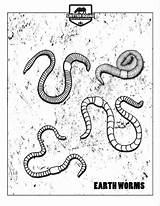 Earthworm Earthworms Crittersquad sketch template