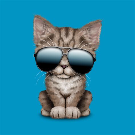 Cute Kitten Wearing Sunglasses Kitten Pillow Teepublic