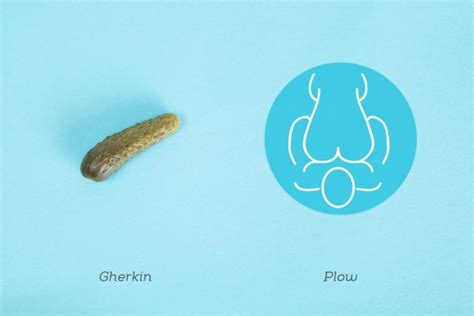 the ultimate visual guide to great sex for every penis shape and size greatist