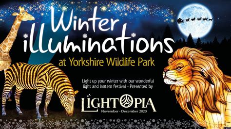 winter illuminations  yorkshire wildlife park visit bawtry