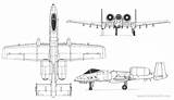 Thunderbolt Fairchild Blueprints Republic Airplane Warthog Drawing Clipart Plans Model Blueprint Plan Dimensions 10a Ii Type Clipground Catia Size Aerofred sketch template