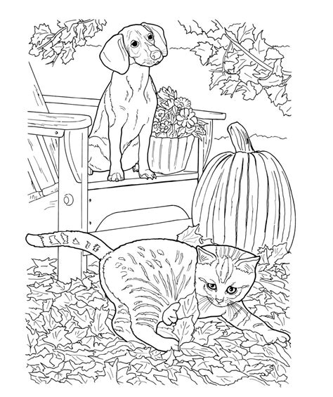 realistic dog  cat coloring page  printable coloring pages