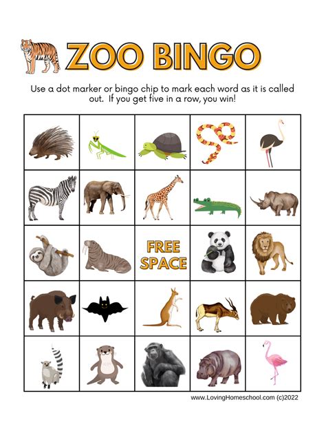 zoo bingo printables lovinghomeschoolcom