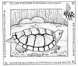 Coloring Pages Florida Comments sketch template