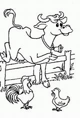 Coloriage Vache Vaches Chicken Coloriages Animaux 1475 Coloringareas sketch template