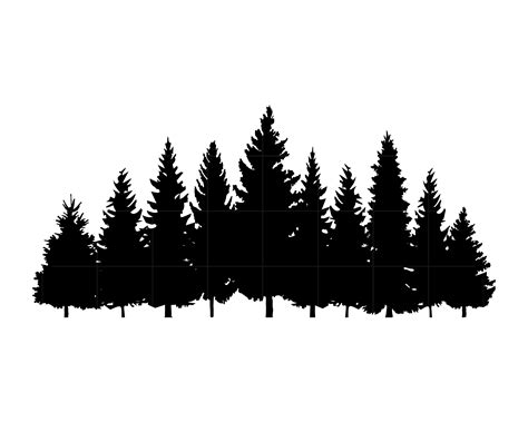 pine trees png tree  png black pine tree silhouette