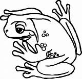 Amphibian Wecoloringpage sketch template