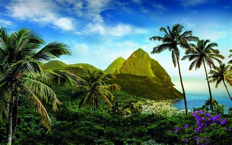 Caribbean Desktop Wallpapers Top Free Caribbean Desktop Backgrounds