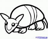 Armadillo Kids Draw Step Drawing Coloring sketch template
