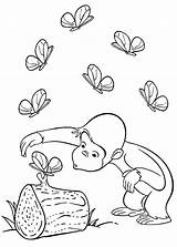 George Curious Coloring Pages Butterflies Kids sketch template