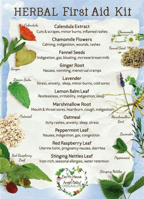 17 best images about herbal and alternate medicines on