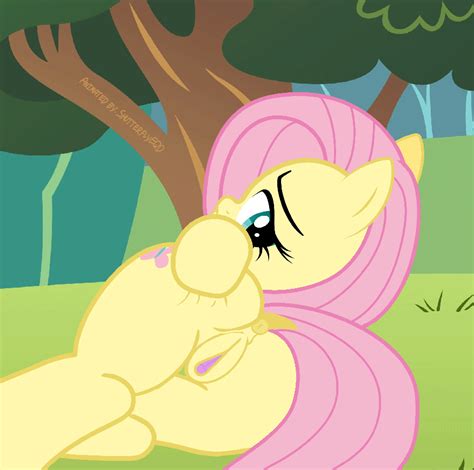 fluttershy animated