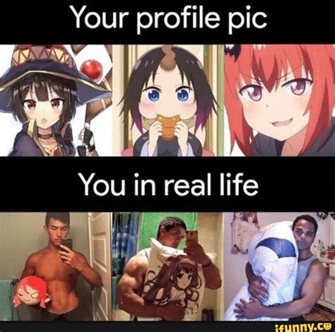 profile pic anime memes anime funny anime memes funny