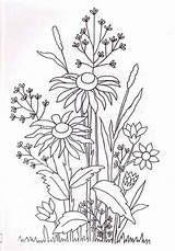 Wildflower 1368 Rudbeckia Liveinternet sketch template