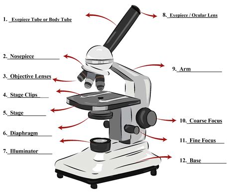 parts   microscope smartschool systems