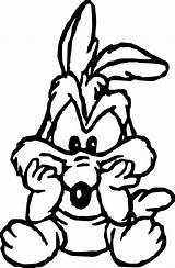 Coyote Looney Tunes Wecoloringpage sketch template