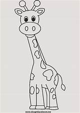 Giraffe Giraffen Tiere Malvorlagen Malen Einzigartig Muster sketch template