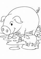 Pig Animais Schwein Cerdo Piglet Porco Pigs Ausmalbild Kostenlos Cochinillo Dibujos Bestcoloringpages Porcos Dibujosonline Fofos Artigo sketch template