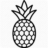 Pineapple Drawing Pineapples Icon Clip Food Hawaiian Fruit Simple Bromeliaceae Tropical Icons Getdrawings Clipartmag sketch template