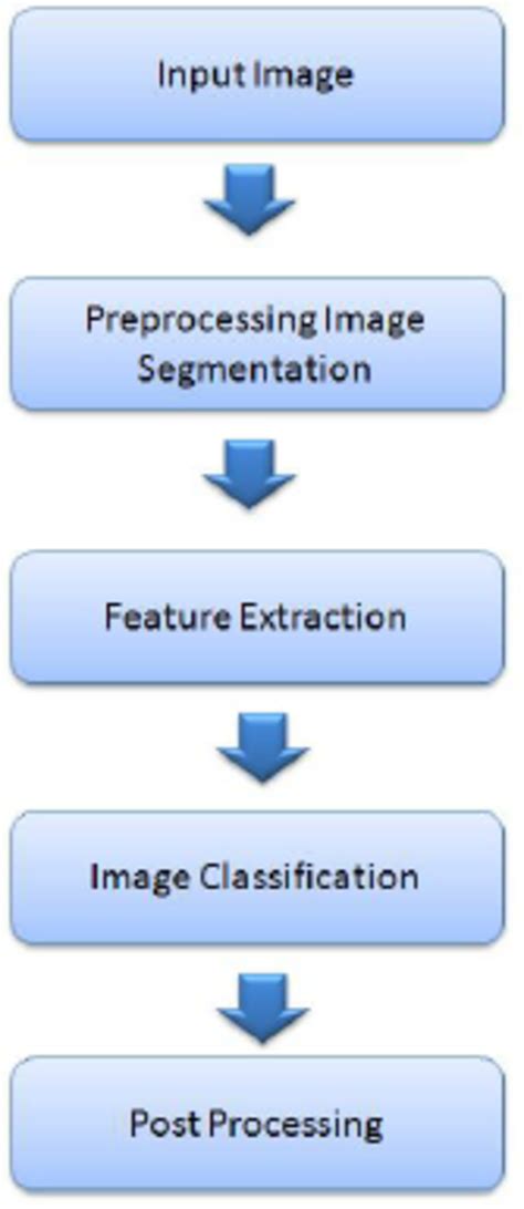 steps  image analysis process  scientific diagram