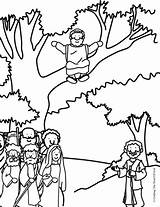 Zacchaeus Coloring Pages Bible Jesus Pre School Crafts Story Craft Printable Sunday Kids Preschool Activity Lesson Down Sheet End Way sketch template