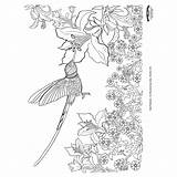 Coloring Hummingbird Pages Adult Orientaltrading Printable Pyrography Patterns sketch template