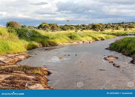 river  tanzania stock photo image  footprints river