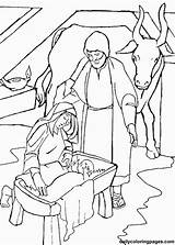 Coloring Manger Jesus Baby Nativity Comments Scenes sketch template
