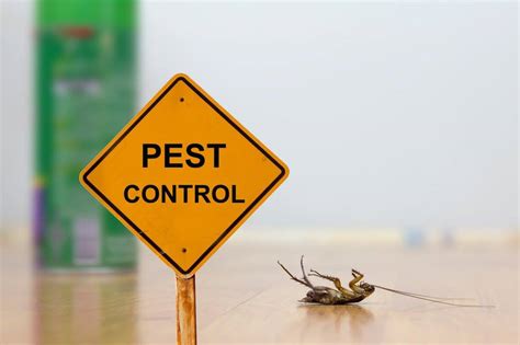 pest control company entrepreneurs break